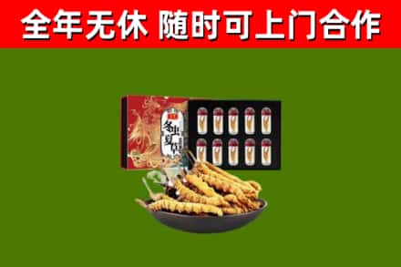 朝阳区回收冬虫夏草价格